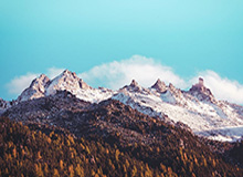 电子游戏官网-绍尔远距离发炮,李昊将球扑出